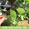 diy%e6%ac%bea4-10%e5%bc%a0-%e5%8c%85%ef%bc%88%e8%87%aa%e5%b8%a6